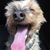 Barbara Austin's profile image