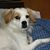 Andrea Harper's profile image