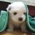 Nancy Phillips's profile image