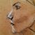 Pearce Manes's profile image