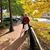 Barbara Ann Dielmann's profile image