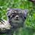 Nancy Offie's profile image