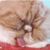 Edward Russell's profile image