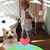 Cyndi Abell's profile image
