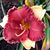 Penny Richard Certain's profile image