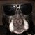 Jess Alex Attwell's profile image