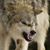 Vaunie Foster's profile image