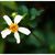Tran Thu Tra's profile image