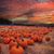Nancy Wilkinson's profile image