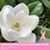 Danna Alvarado Carranza's profile image