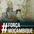 Damares Ribeiro's profile image