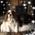 LeAnn Smith's profile image