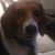 Tim Barnett's profile image