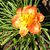Kathy Laux's profile image
