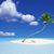 Vivian Pinzas's profile image