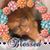 Afi Akua Kenney's profile image