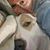 Terri Dotts's profile image