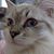Courtney Warnell's profile image