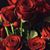 Angela Canales's profile image