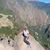 Suzette Musgrove's profile image