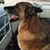 Judy Moore Payne's profile image