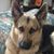 Doreen Raykovich's profile image