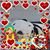 Sandra Mónica Barriga - Animalover's profile image