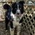 Brenda Rudiger's profile image
