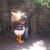 Amy Abramson Waldinger's profile image