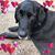 Bobby Seibert-Swider's profile image