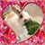 Kethkaew Ngov's profile image