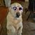 Julie Loonan's profile image