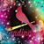 Sandy Scales's profile image