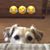 Terri Garabelli's profile image