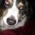 Patrick O. Townsend's profile image