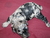 R W.'s profile image