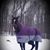 Bethany Kane Grosso's profile image
