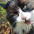 Cynthia Turpen's profile image