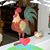 Penny Hallacker's profile image