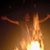 Jamie Dorton's profile image
