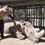Todd Andrew Soyck's profile image