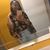Tajeria Jeanae Moore's profile image