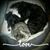 Deedra Havens's profile image