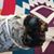 Hayley Leeper's profile image