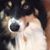 Simon Gray's profile image