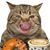 Jody Comstock Secore's profile image