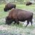 Larry Quinn's profile image