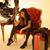 Eva McCourt's profile image
