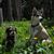 Lori Wilson's profile image