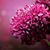 Madiha Jawad's profile image